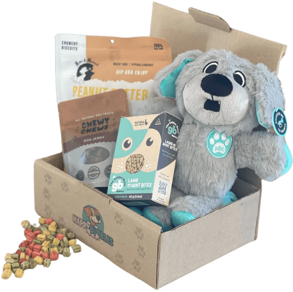 Paw Box