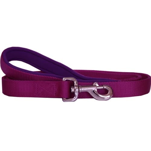 Beau Pets - Neoprene Handle - Nylon Lead