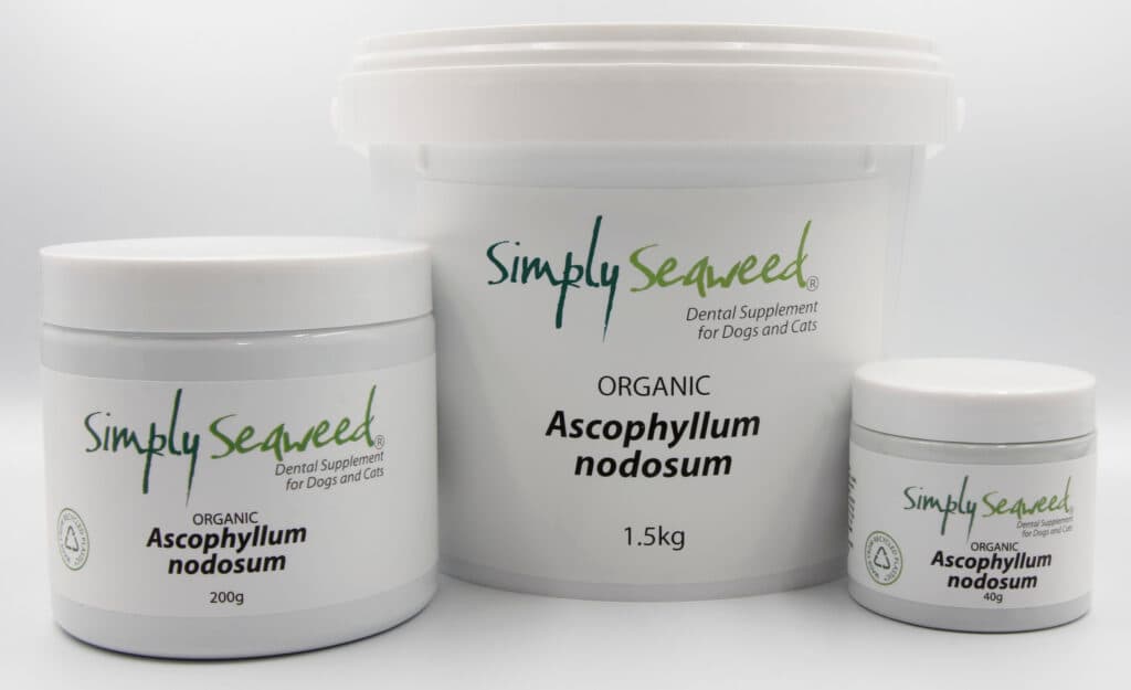 Simply Seaweed - Dental Supplement 40g