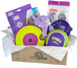 The Active Dog Set