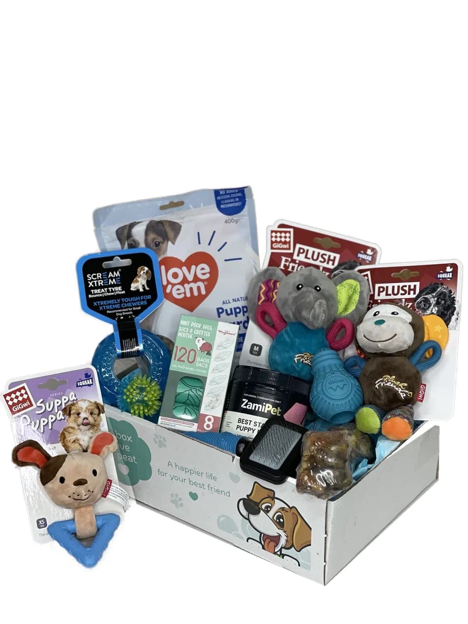 The Pawfect Start Puppy Gift Box