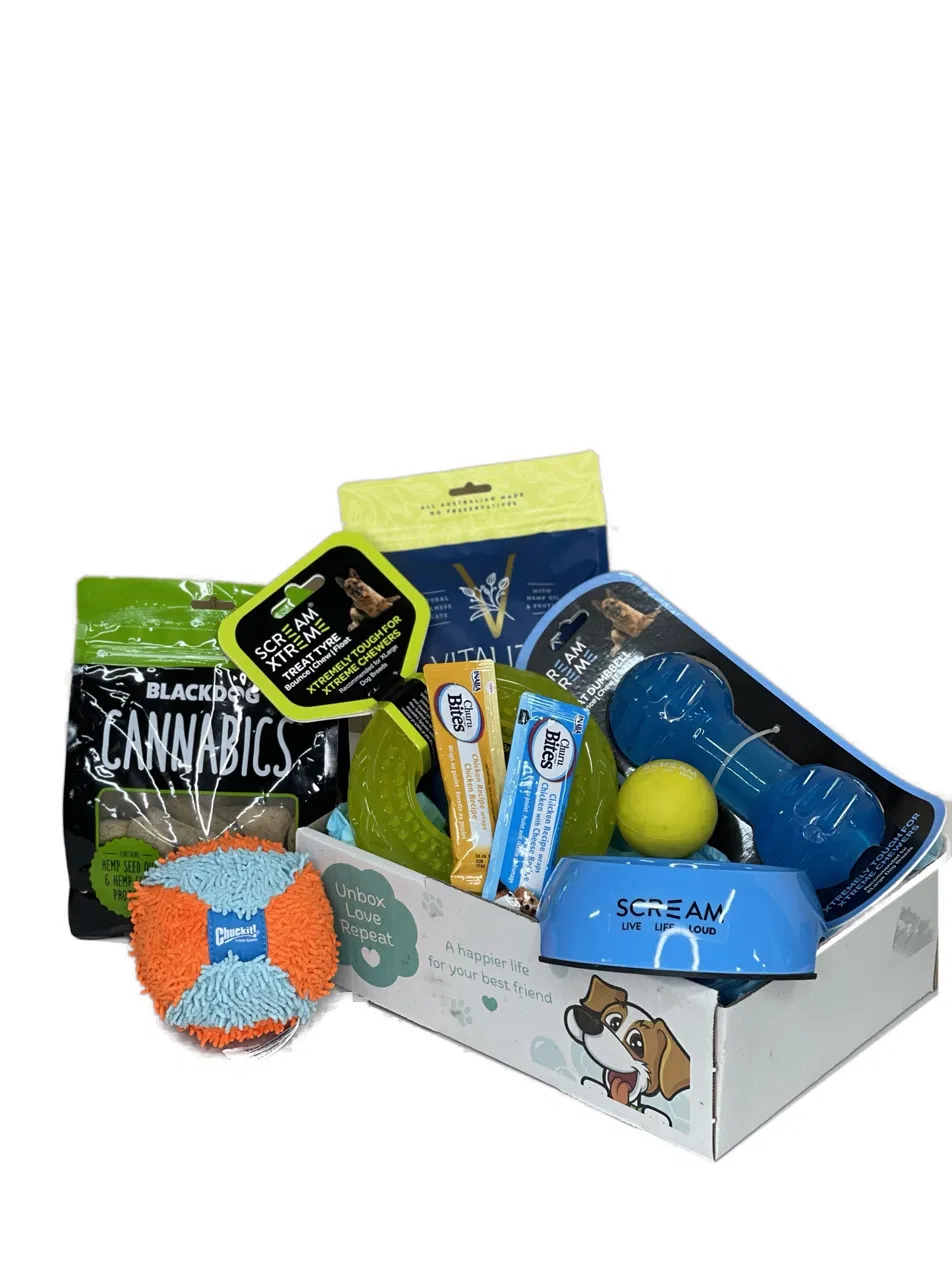 The Ultimate Treats & Play