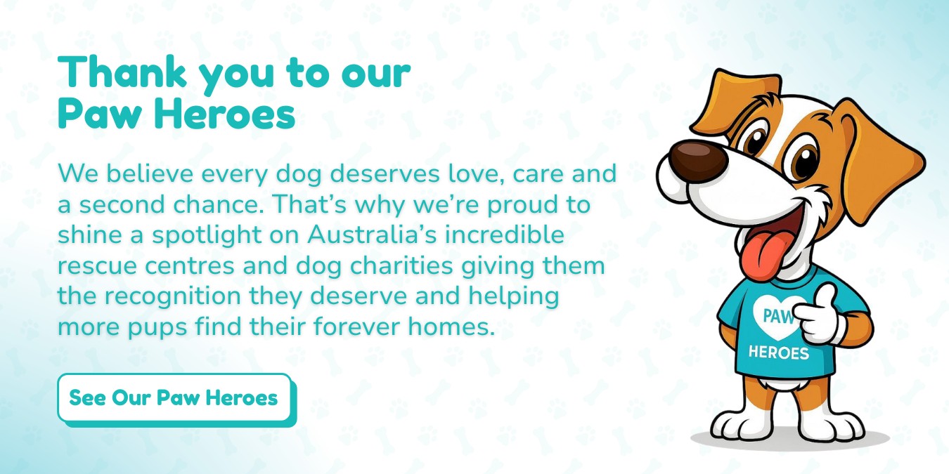 Paw Heroes Banner