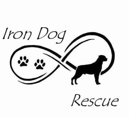 Iron Dog Rescue