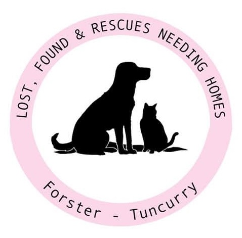Lost, Found and Rescues Needing Homes