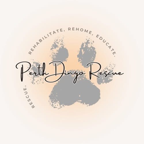 Perth Dingo Rescue Ltd