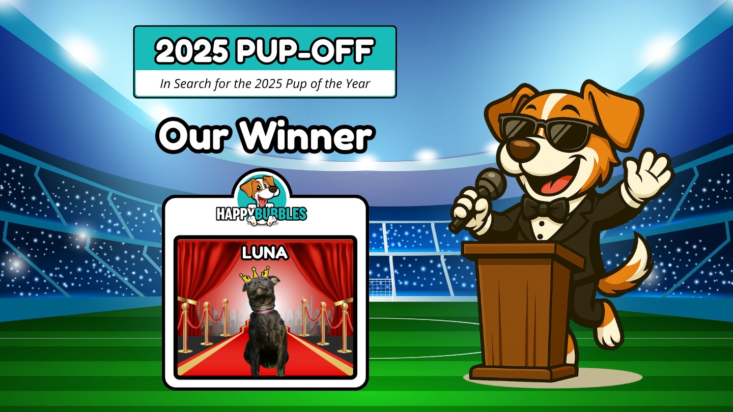 Voting Has Ended
